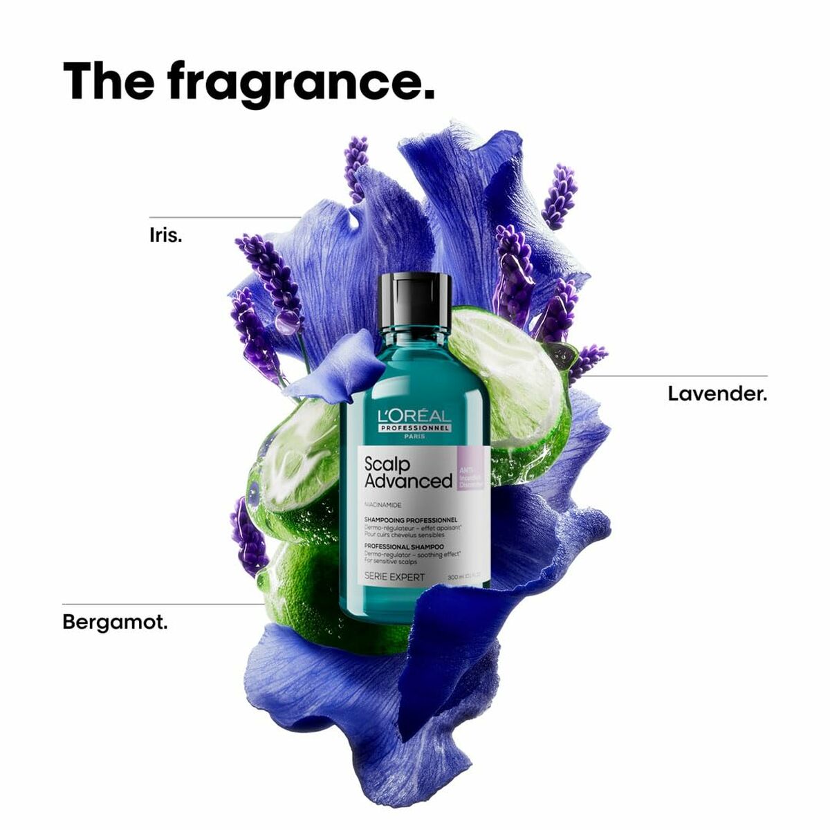 V2H480E2B76B98E8C2E8B452F96B486186BR6713850P5