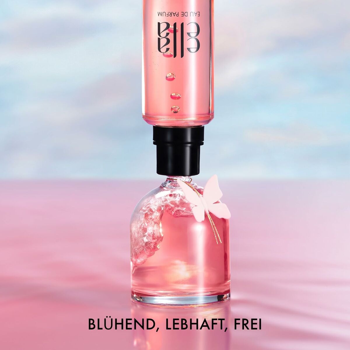 V2HADB76685C30A872E94A1F69E1FFDE9A8R7322022P2