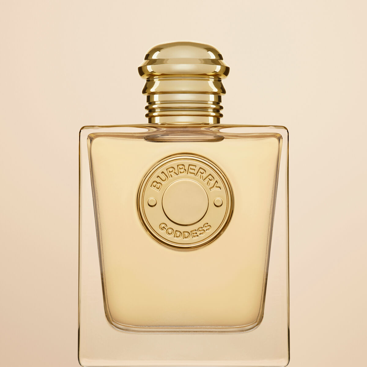 V5H737DBC03E4E0DD7588F73BF7E1EB9A99R5318351P8