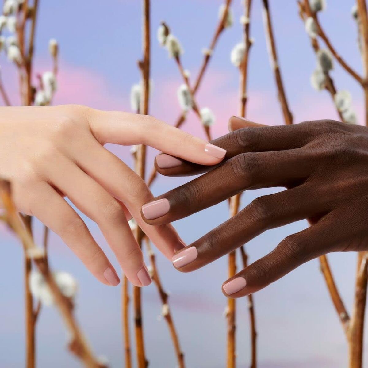 V4HD5B26F238235CEDEA4D2DE681555EF60R4549741P4