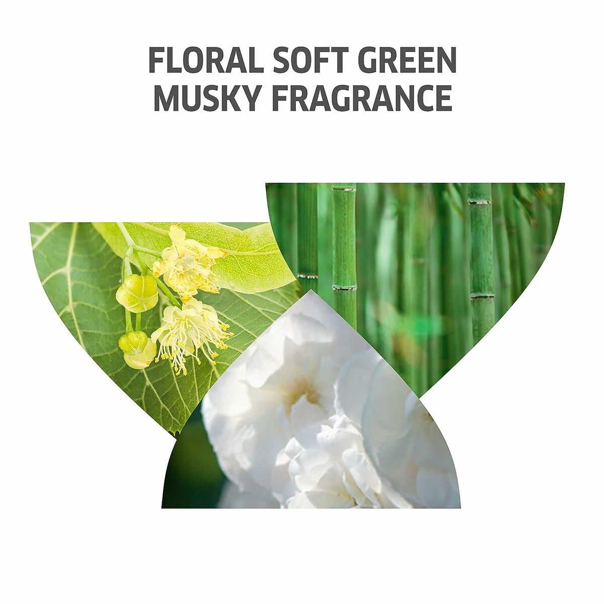 V6H792602F13BB4CBCA6909F132C4278D7ER3864620P9