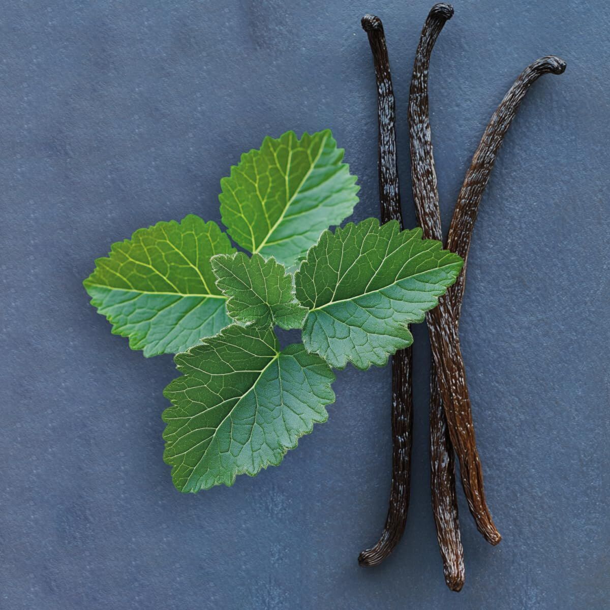 V2HA402E546EAA28395559BCC34333C22B2R7528116P5