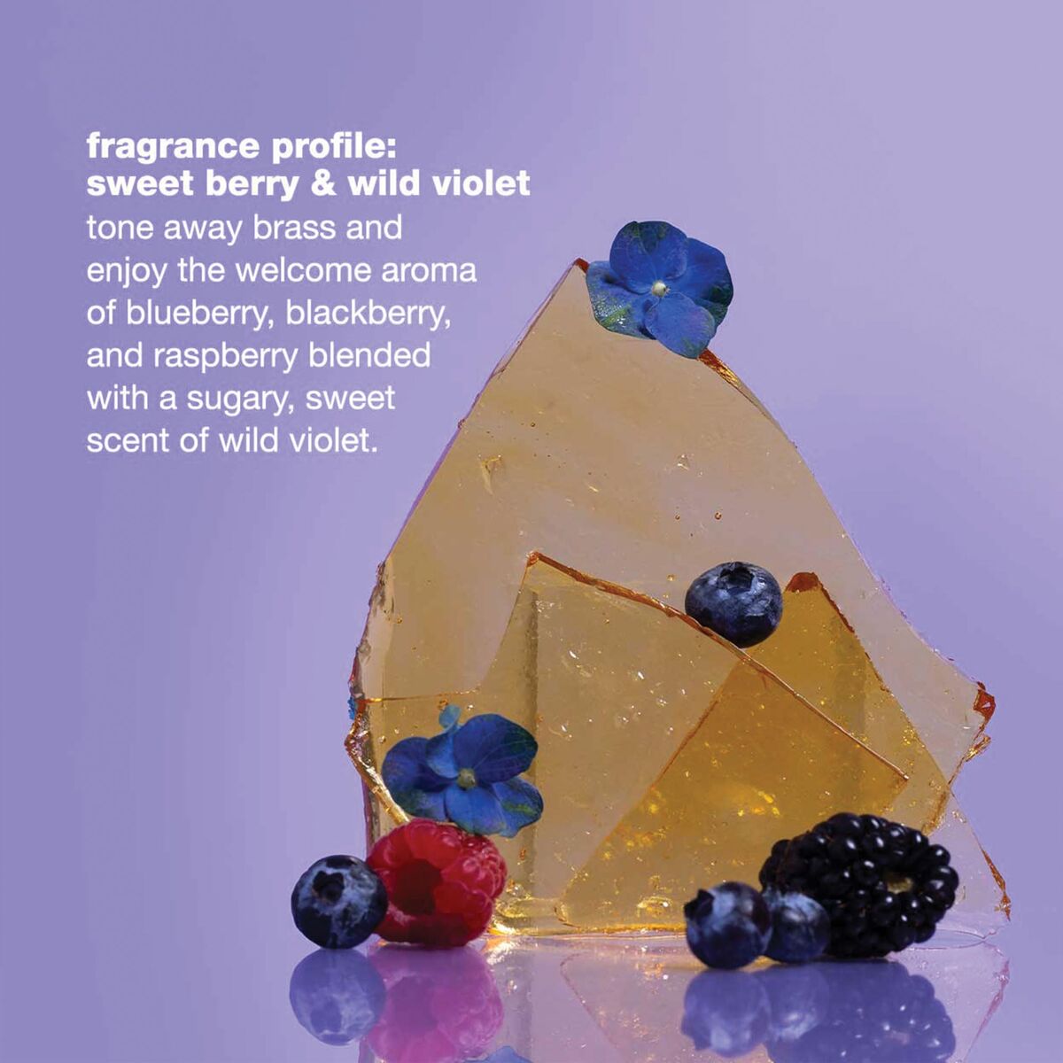 V2H13CF1BB2E385229979062BA52F519FBDR7553056P4