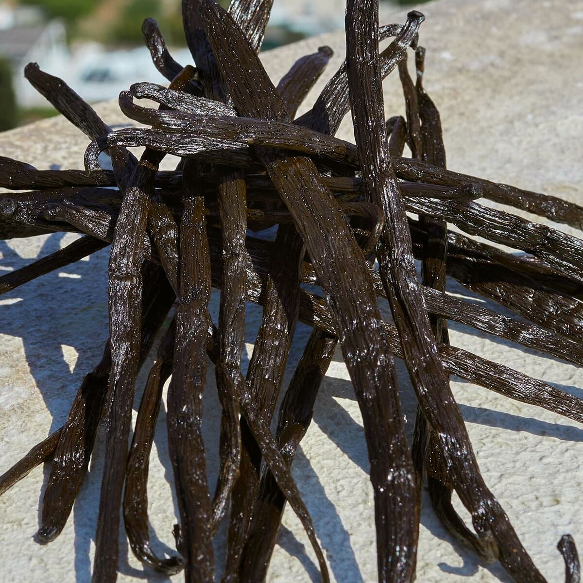 V2H2FEDF660222908E5A8BF9DB022E97591R7525437P5