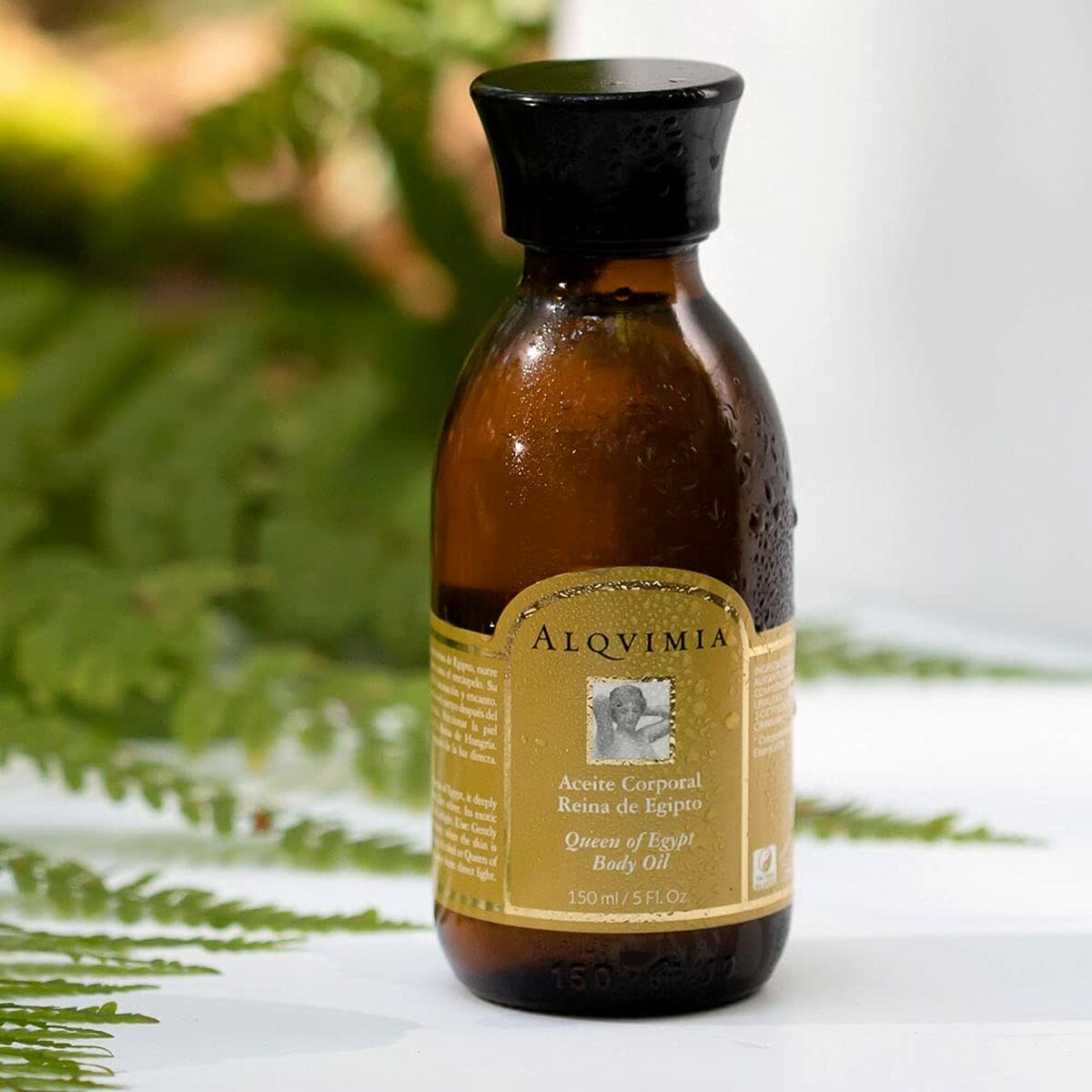 V2H5B49B8D2D65CDC961A227B59D36EB0B3R7181066P6