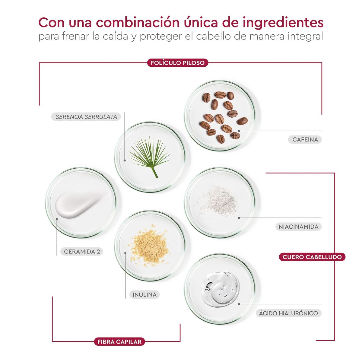 V3HFAF9C5E7D33B4AACDB633D93E10F6771R7404362P7